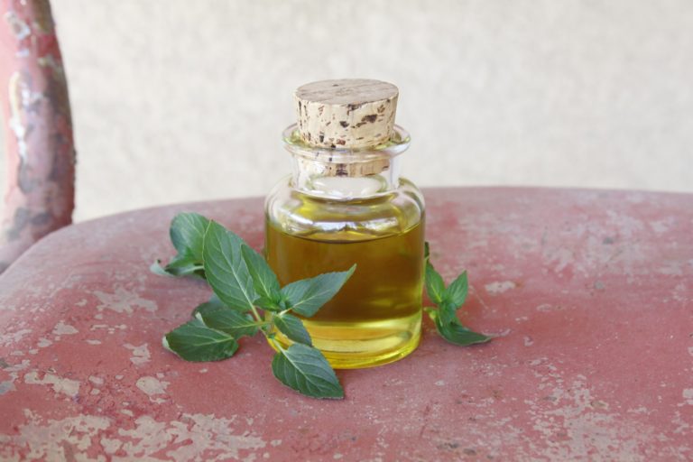 5 Ways to Nourish Your Skin Using Oil
