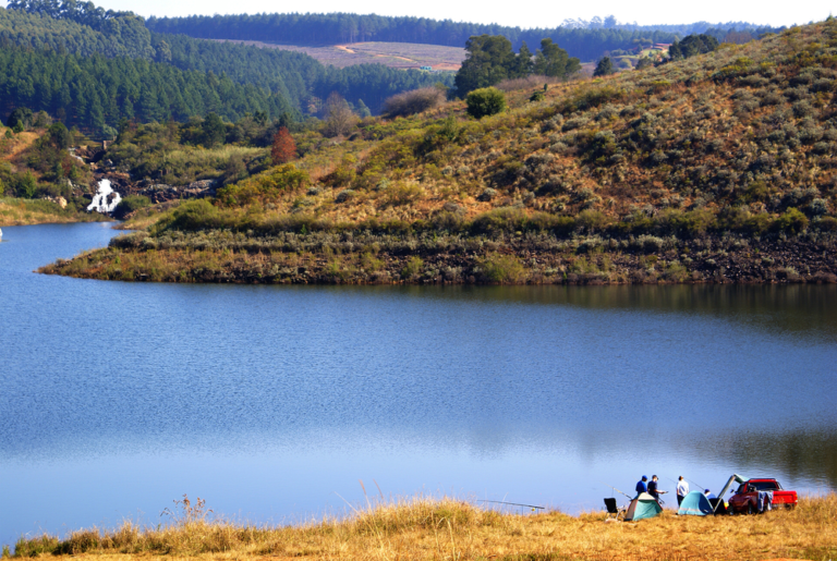 The Ultimate Camping Fridge Buying Guide