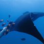 Galapagos of North America: Mexico Creates Mega Marine Park In the Pacific