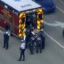 Parkland Shooting: At Least 17 Killed and Many Injured in Florida High School Attack