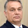 Hungary Elections 2018: Viktor Orban Wins Third Term as Prime Minister