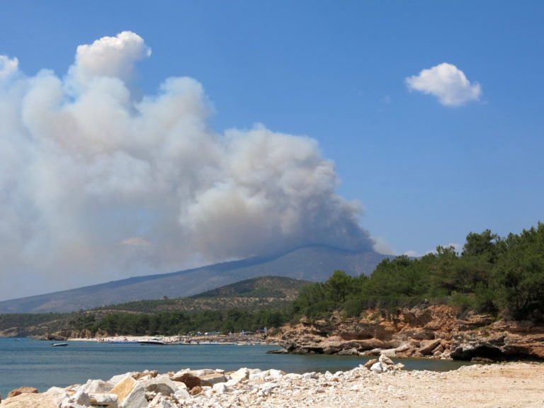 Greece Fire: Serious Indications that Arsonist Set Fires that Killed 83