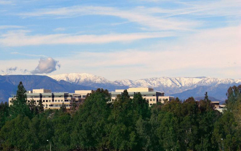 Thousand Oaks Bar Shooting: 12 Shot Dead by US Marine Corps Veteran