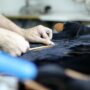 How to Find the Right Manufacturer for Your Clothing Brand