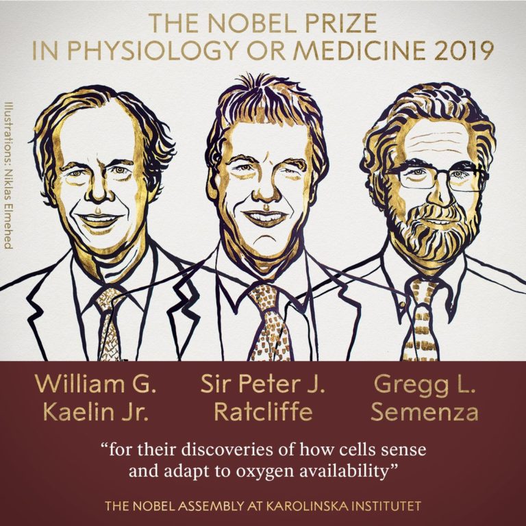 Nobel Prize 2019: Peter Ratcliffe, William Kaelin and Gregg Semenza Share Physiology or Medicine Prize