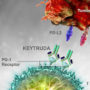Pembrolizumab: Immunotherapy Drug Can Be Effective In Some Men with Advanced Prostate Cancer
