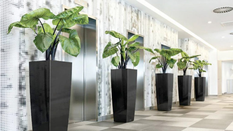 The Advantages Of Hiring An Indoor Plant Hire For Your Business