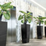 The Advantages Of Hiring An Indoor Plant Hire For Your Business