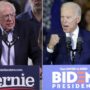 Super Tuesday 2020: Joe Biden and Bernie Sanders Lead Race to Face Donald Trump