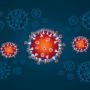 Coronavirus: More US States Announce Lockdown Orders