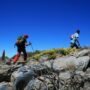 <strong>6 Powerful Benefits of Hiking</strong>