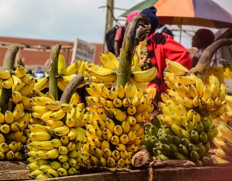 Tanzania Retaliates with Import Ban as Trade Spat with South Africa and Malawi Intensifies