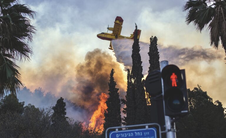 Nation Ablaze: Israel Battles Raging Wildfires as International Aid Arrives