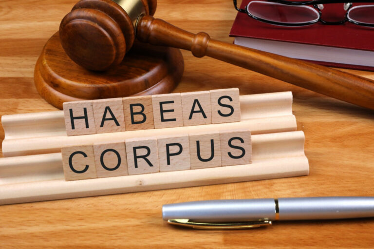 White House Weighs Suspension of Habeas Corpus, Raising Alarms Over Civil Liberties
