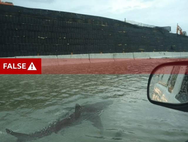 Hurricane Melissa: How AI-Generated Shark Videos and Fake Footage Are Sabotaging Disaster Relief