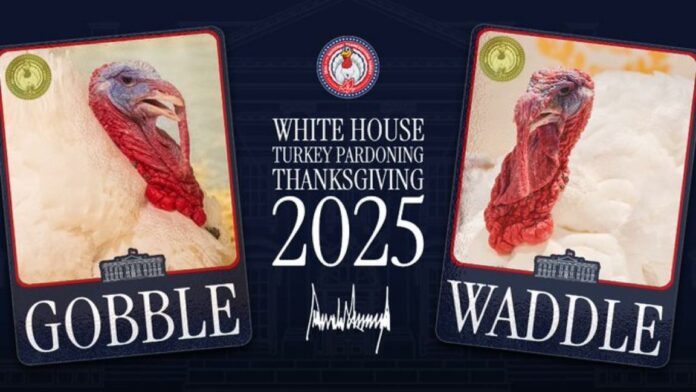 Trump Thanksgiving turkey pardon