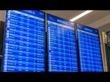 A Perfect Storm: How Government Gridlock and Winter Weather Ground the Nation’s Air Travel, Yet Lift Airline Stocks