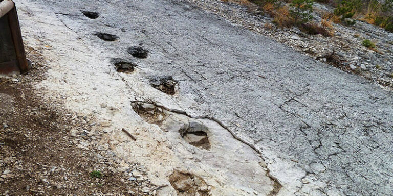 The Valley of Dinosaurs: 20,000 Footprints Uncovered on Near-Vertical Alpine Peaks