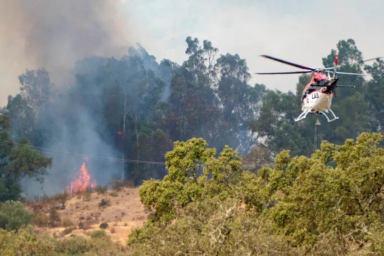 Over 300,000 Flee Apocalypse as Out-of-Control Wildfires Advance on Madrid and Bordeaux
