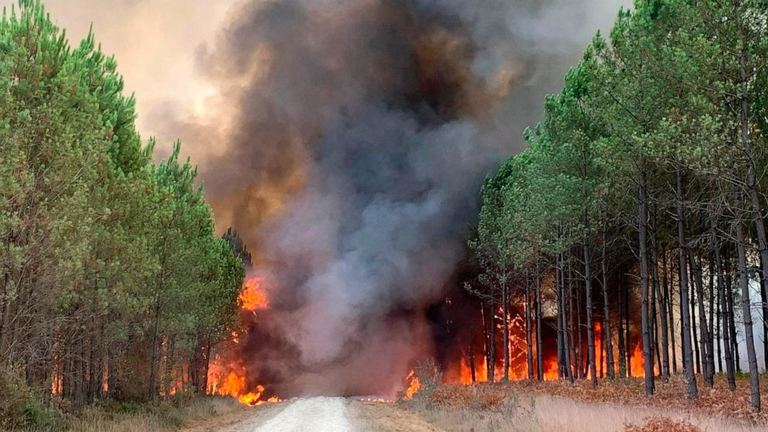 France Arrests Over 400 in Massive Arson Crackdown Amid Historic Inferno